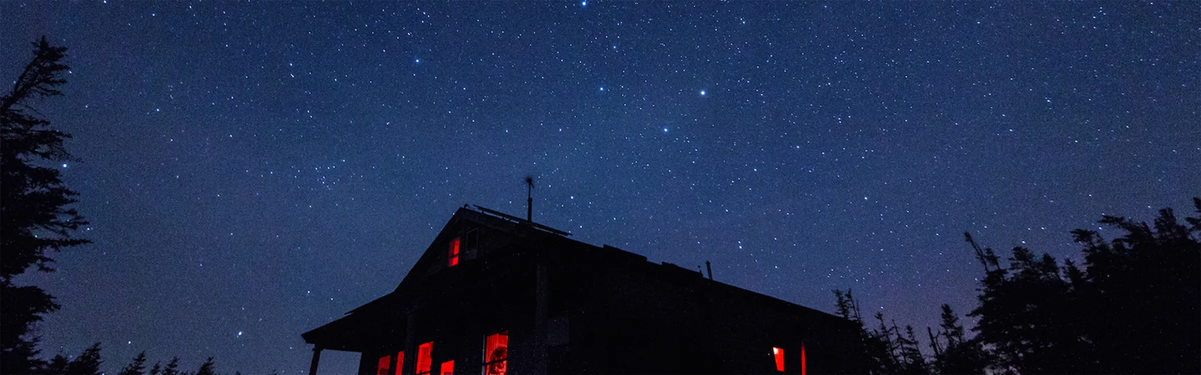 A bird sitting on a nest of eggs.