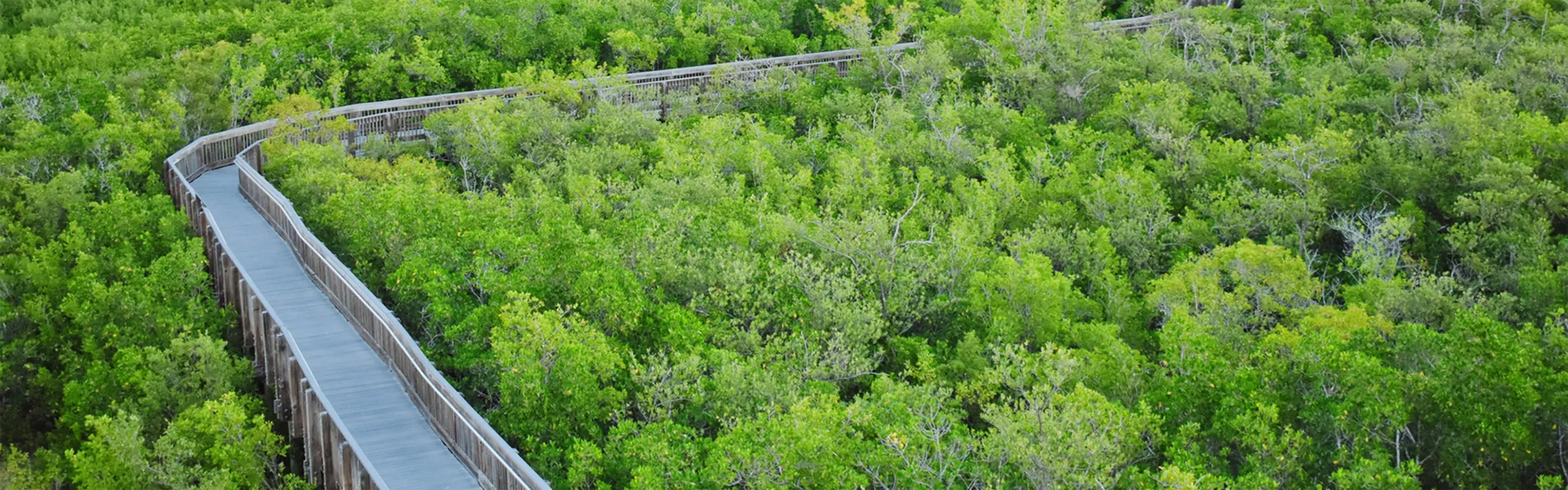 Best Hiking Trails Near Flagler Beach Florida Maps Ratings Info OnX best-hiking-trails-near-flagler-beach-florida-maps-ratings-info-onx