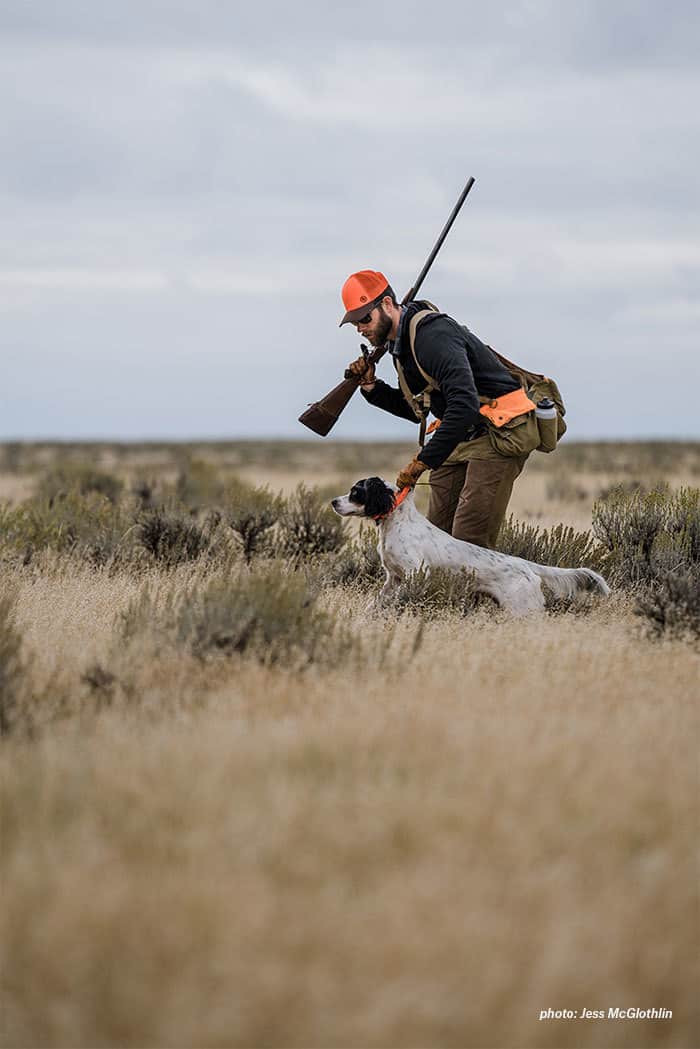 A young setter is held by his owner while hunting sage grouse in eastern Montana.