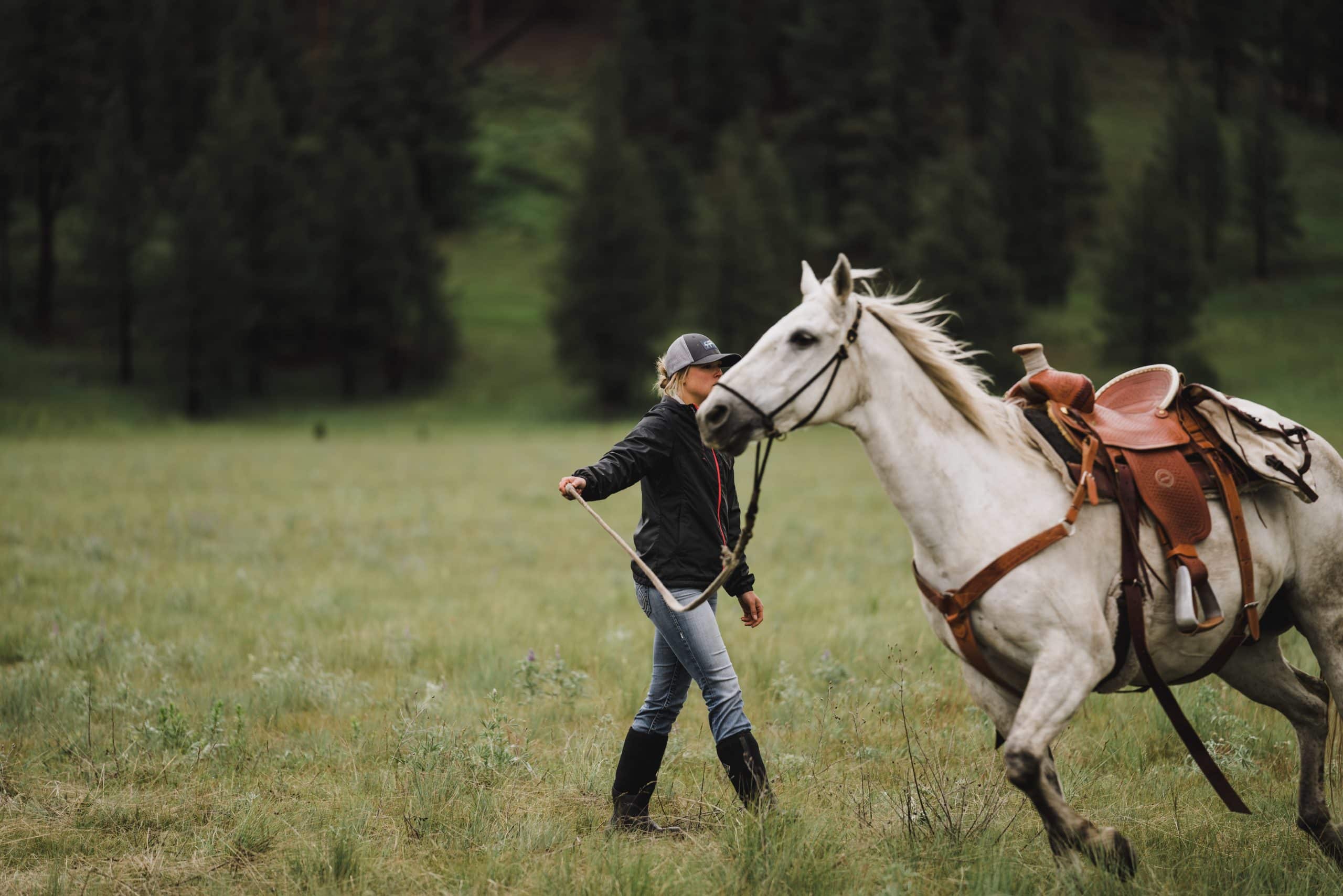 A shed hunter leads her excited horse around the grass before the start of the shed hunt.