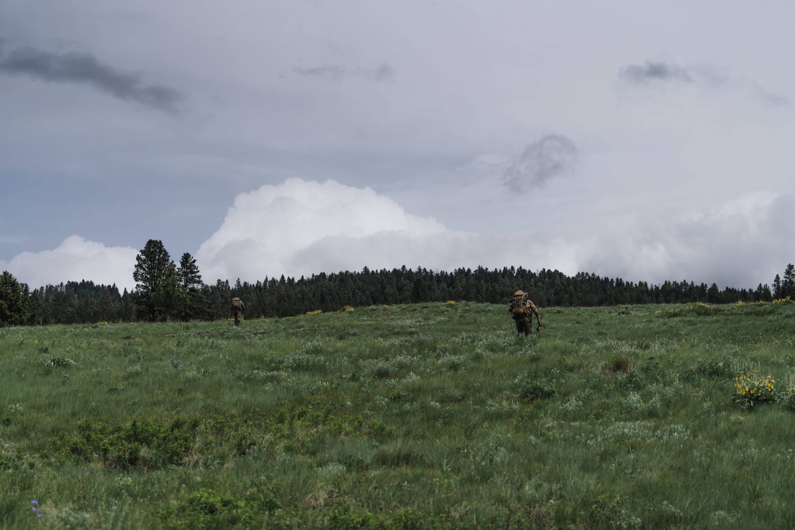 Two hunters run uphill on the Blackfoot-Clearwater WMA at the start of the shed hunt.