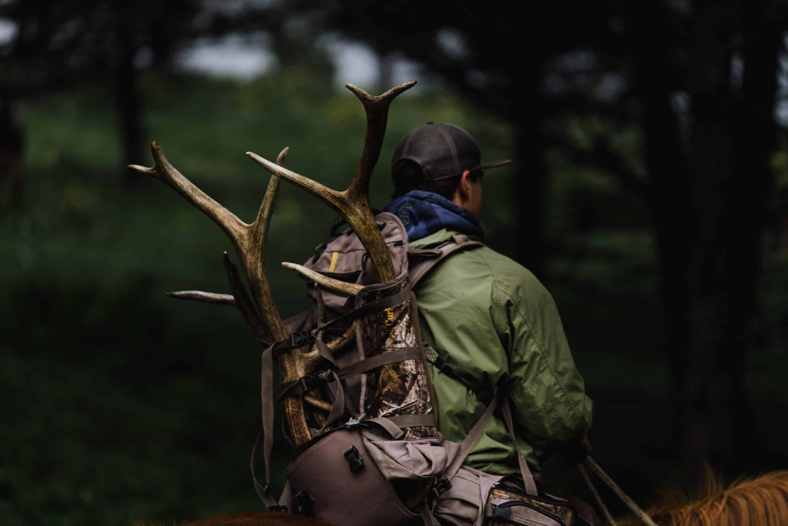 A rider carries off a matching set of elk sheds on the Clearwater WMA