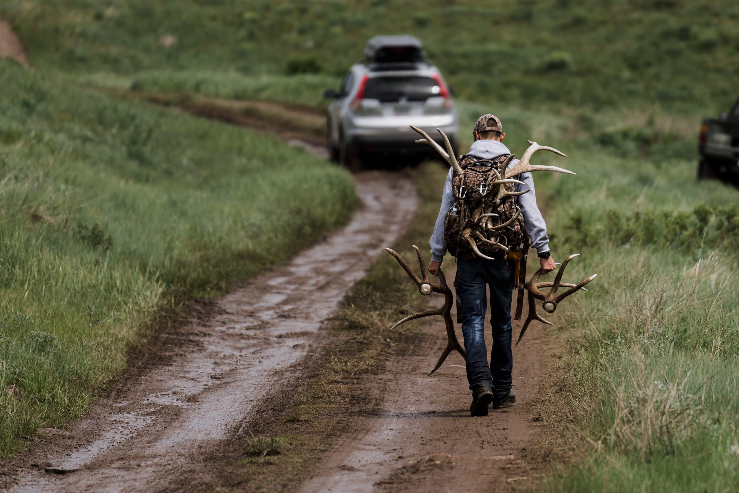 A lone shed hunter hits the jackpot on opening day of shed season on Montana's Clearwater WMA
