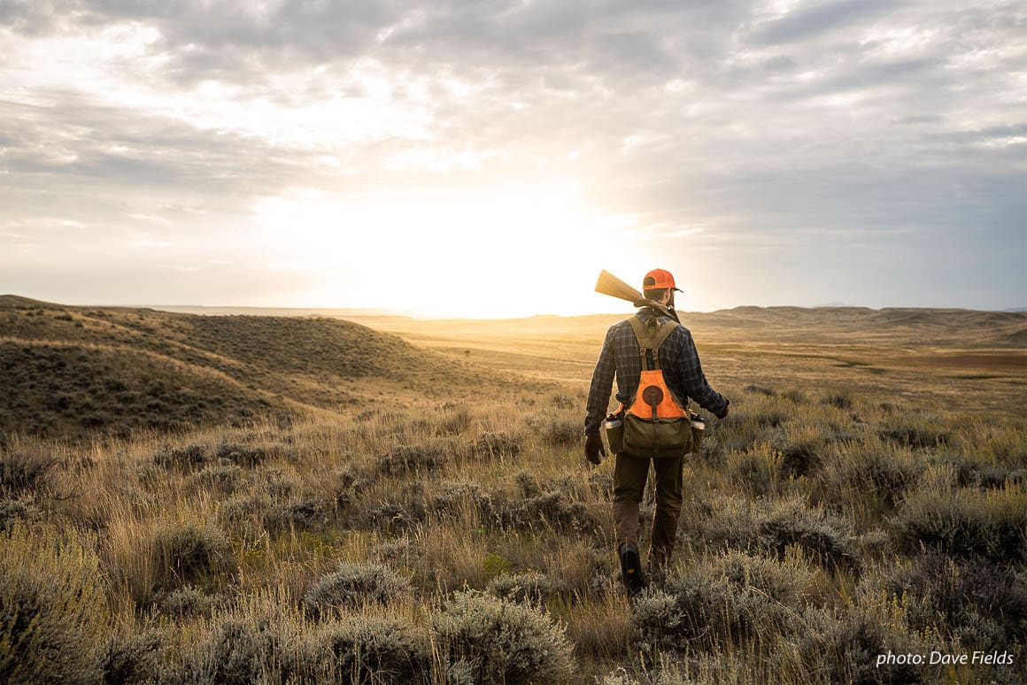 Garrett Mikrut walks into the sunset while upland bird hunting in eastern Montana.