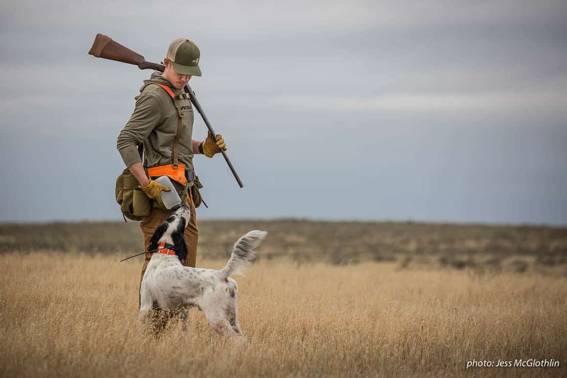 Nick Larson pauses while upland bird hunting in eastern Montana to give his English setter Hartley a much-needed drink of water.