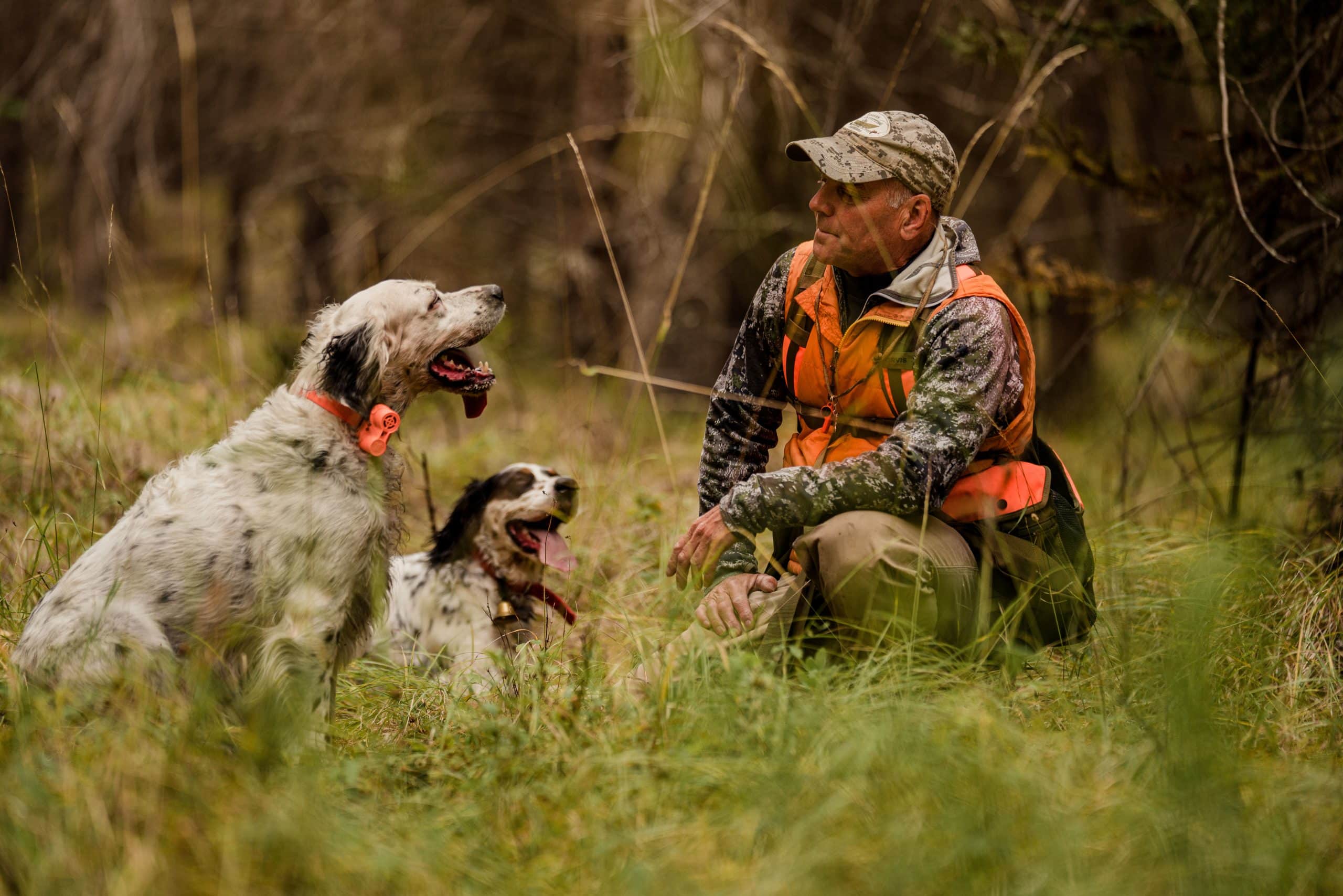Montana outfitter Tim Linehan rests with his two setters.