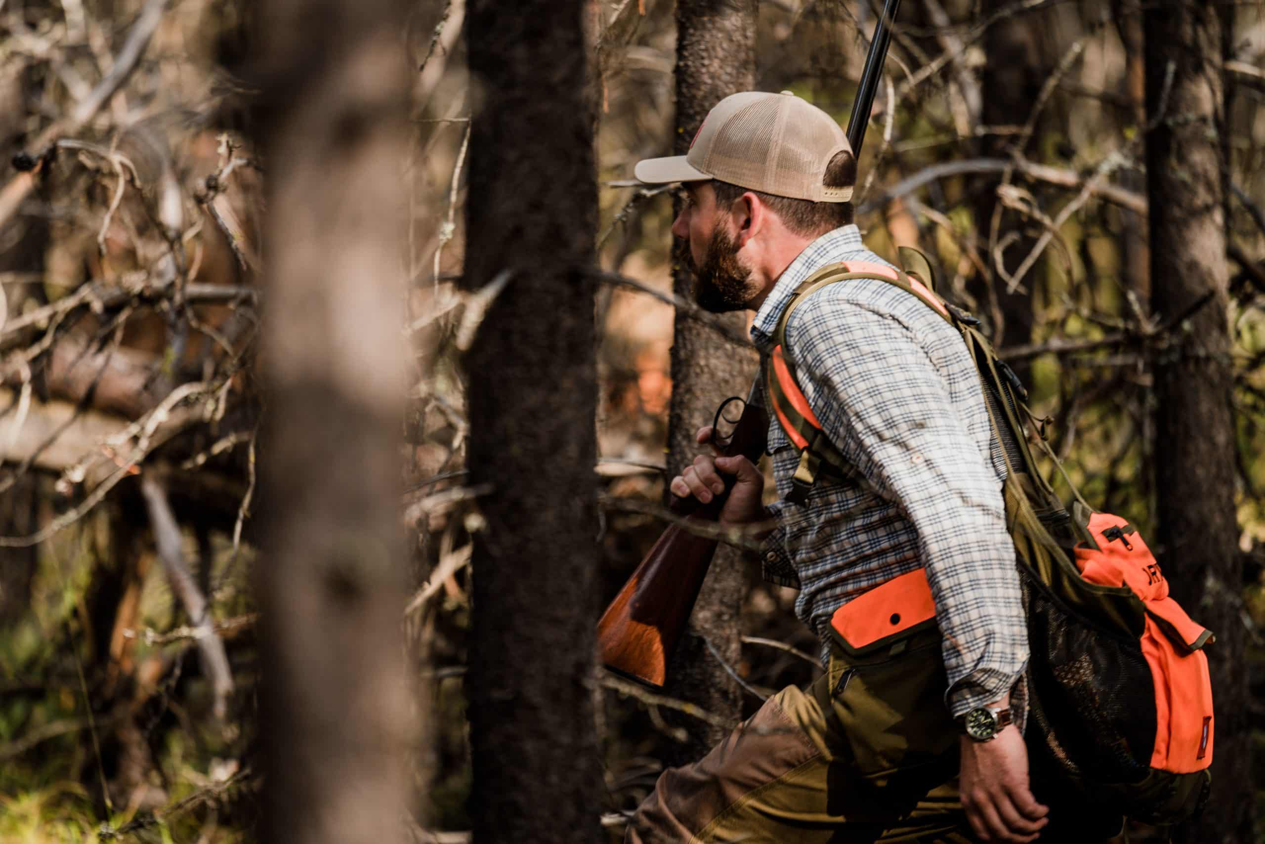A hunter walks through thick woods while grouse hunting in northwest Montana.