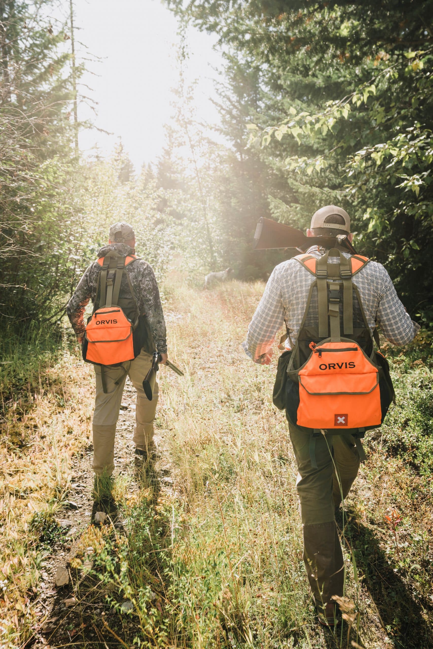 Two grouse hunters walk up a trail in northwest Montana.