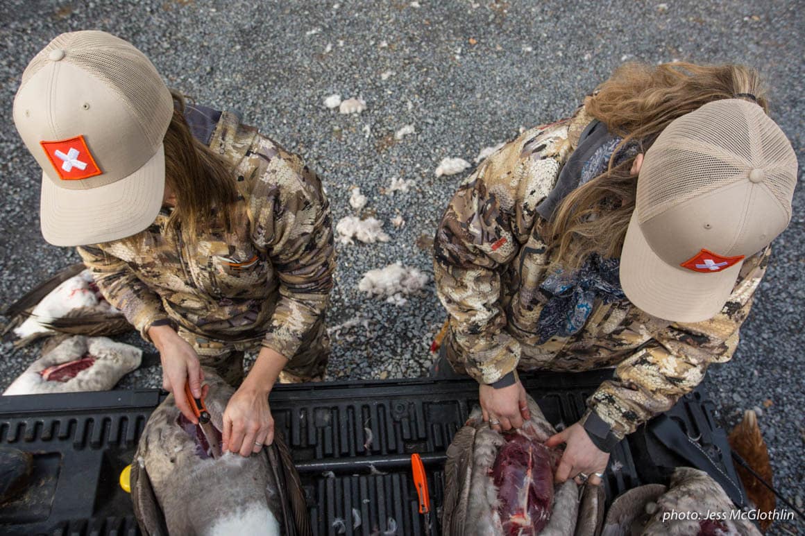 Two female hunters breast out geese on the tailgate of a truck.