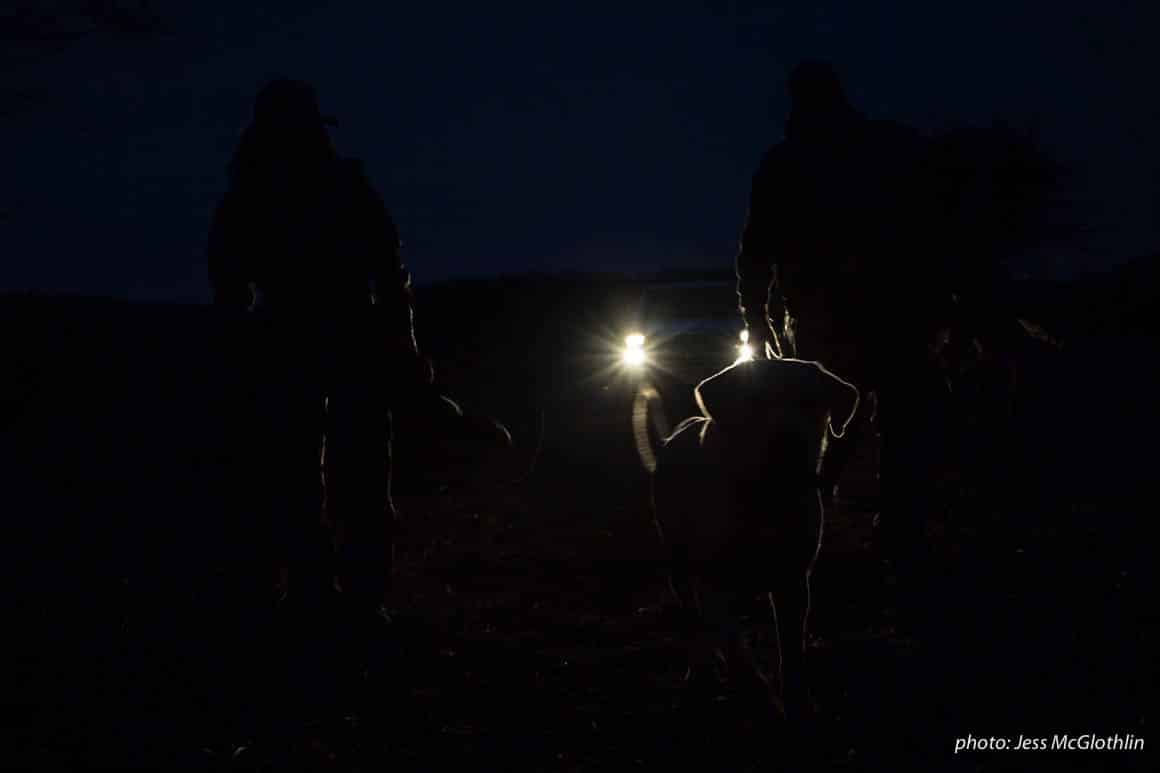 Two hunters walk with a dog in darkness, illuminated by truck headlights.