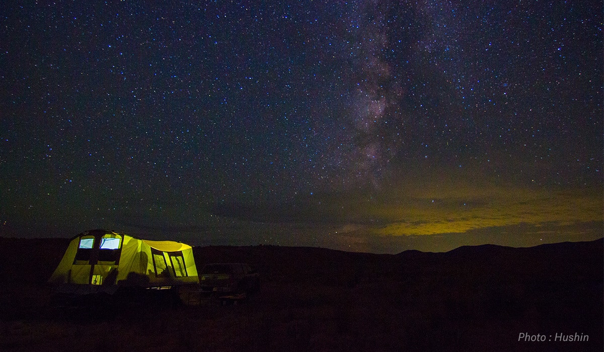 Summer nighttime photograph of tent with night sky.