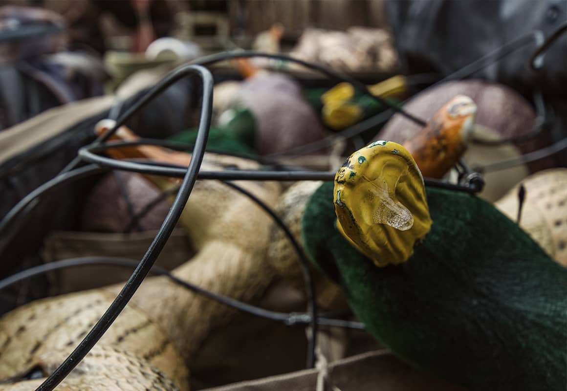 Duck hunting decoys in a boat preparing to be placed in the water.