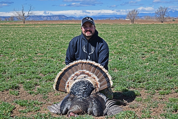 Man with Merriam's turkey shot in a green field near Colorado Springs, Colorado.