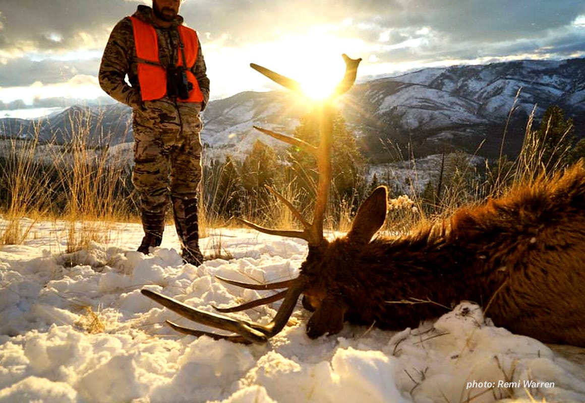 Man dressed in camouflage looks down at a dead elk in snow with sunset, shot while hunting.