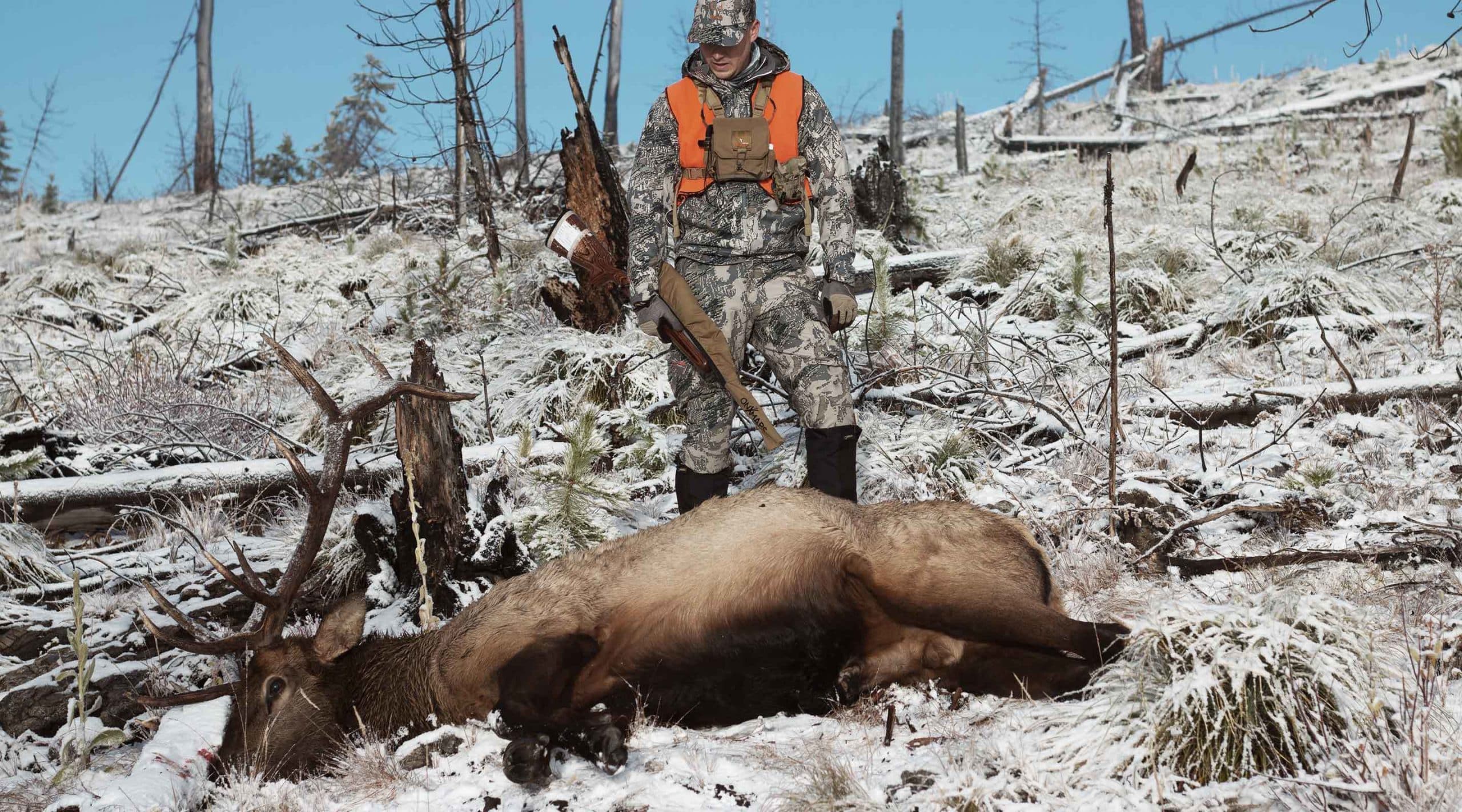 A late-season bull elk shot in the snow in Montana.