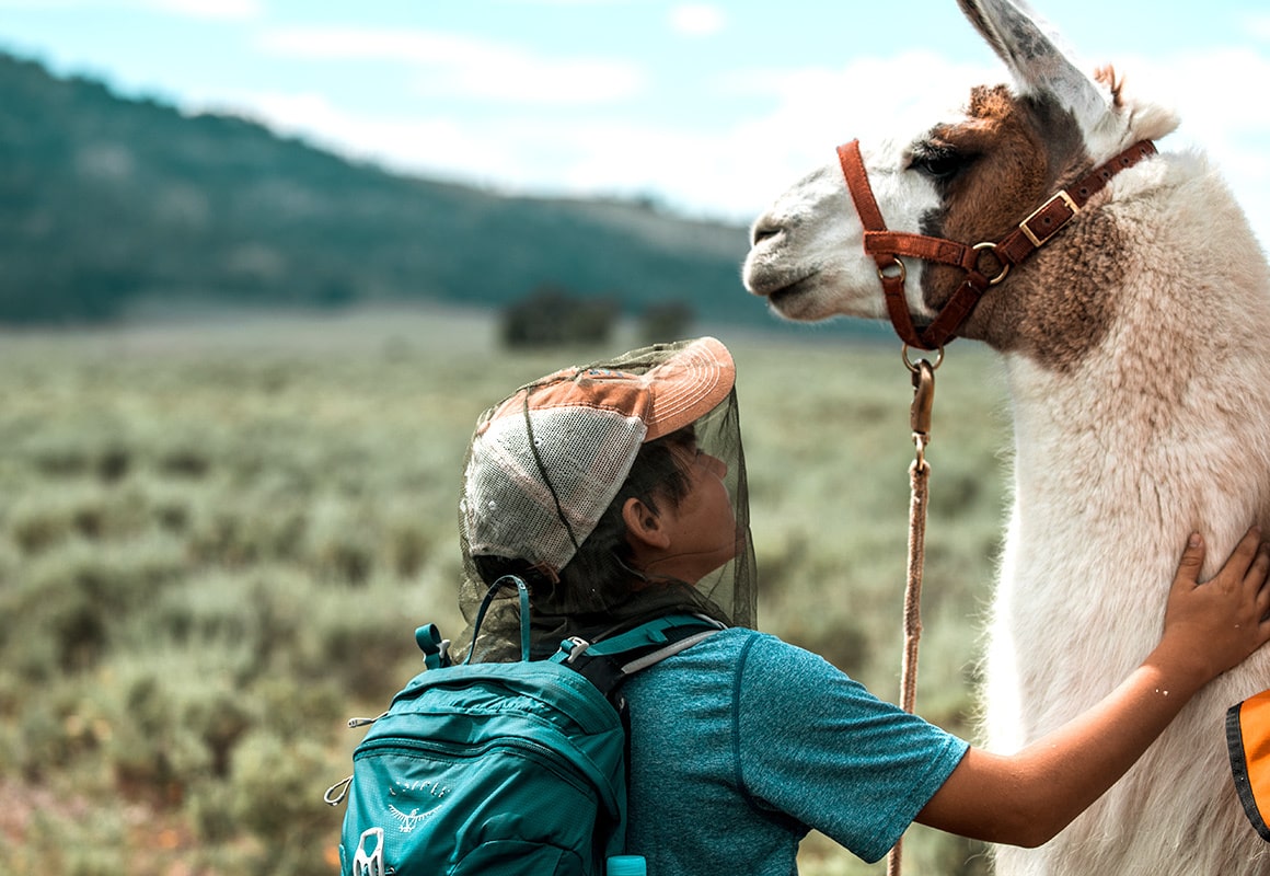 Marcus the Public Lands Llama poses with one of the hikers he helping in Yellowstone National Park.