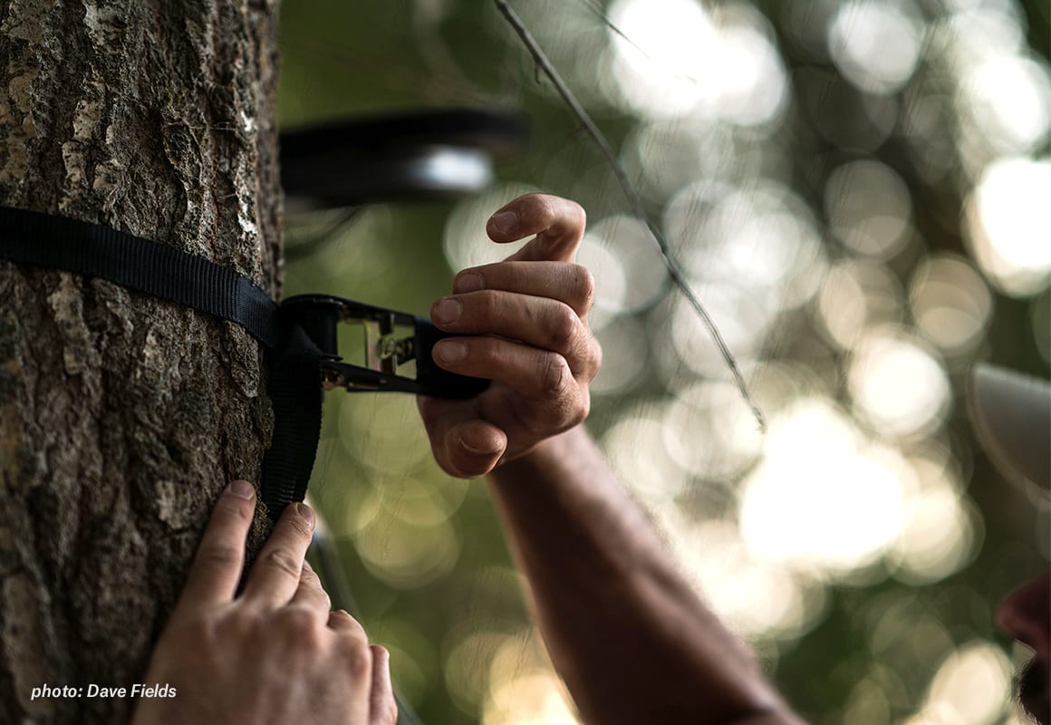 Man securing tree stand into tree with ratchet strap.