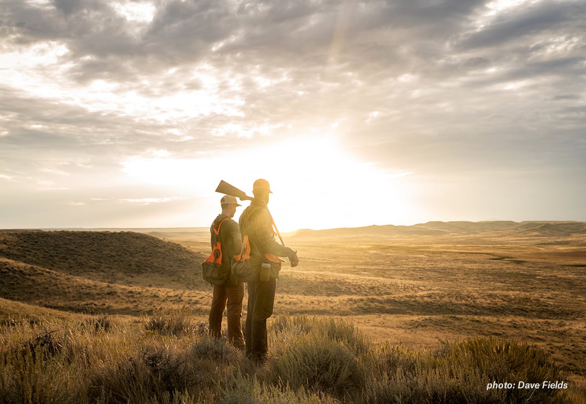 Two upland hunters look over the prairie at sunset