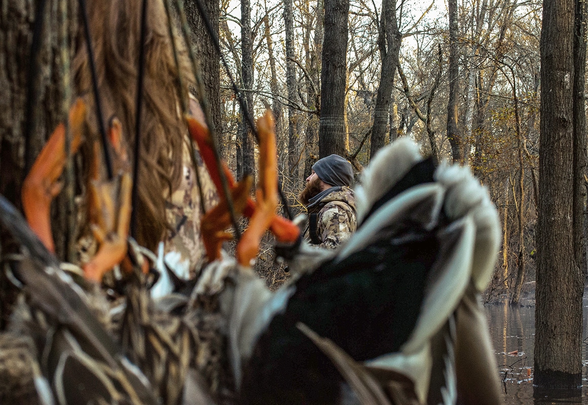 Mallards with orange feet hung while hunting with a hunter in waterfowl camo in the background.