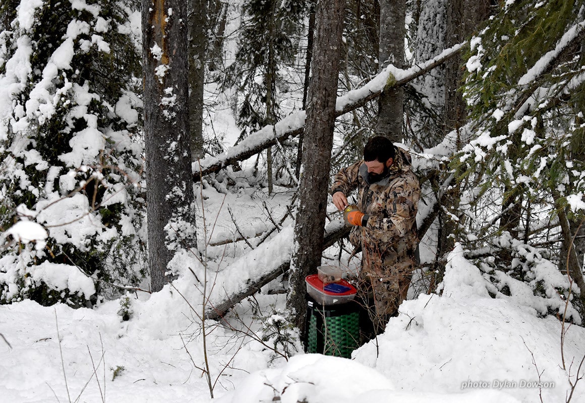 Man prepares and baits hunting trap in the snow.