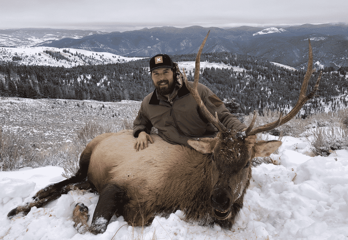 Zach and his elk