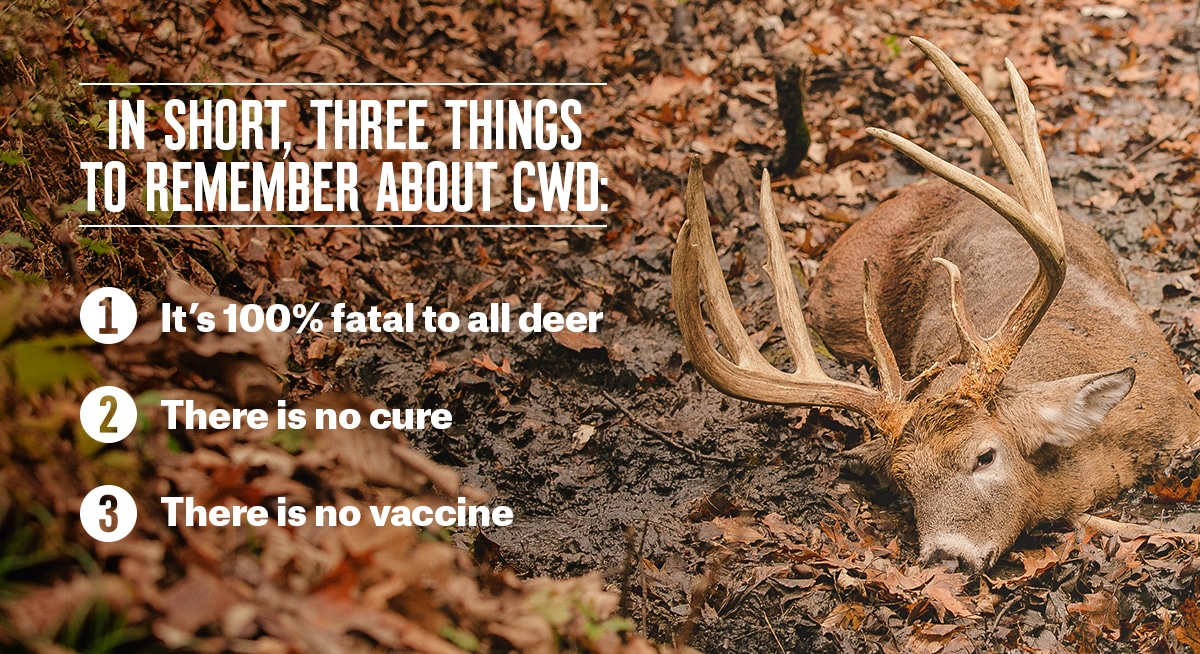 Three things to remember about Chronic Wasting Disease.