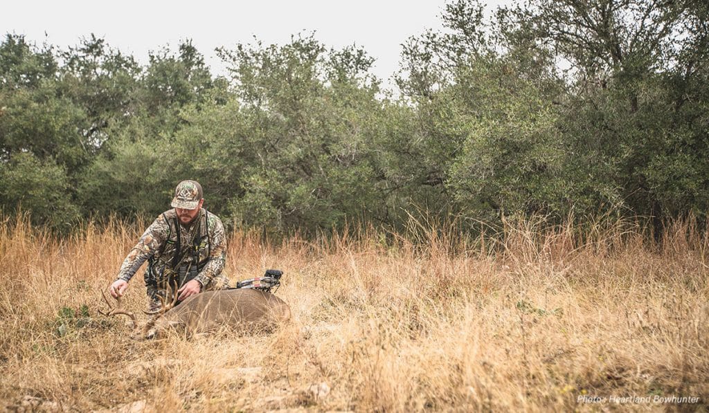 Hunting the South's Whitetail Deer Rut