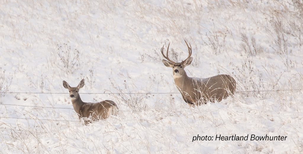 How to use a GPS for hunting deer and elk