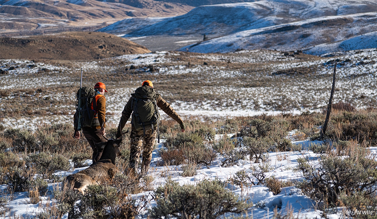 Two hunters carry a deer they successfully harvested through a field of sagebrush. 