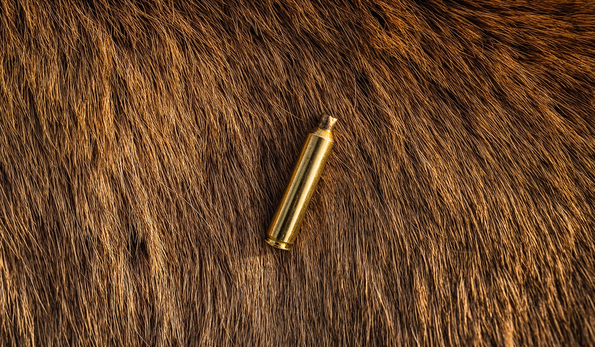 Success hunting elk using the onX Hunt App. Empty cartridge against elk hide.