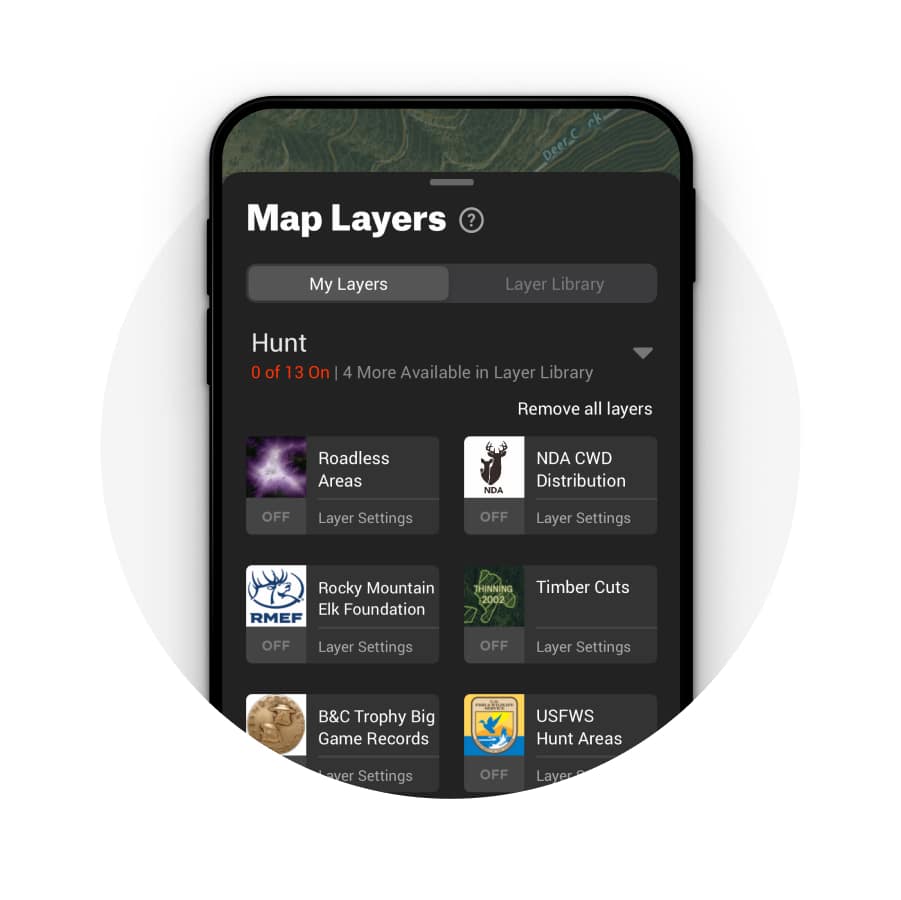 Map Hunt Layers