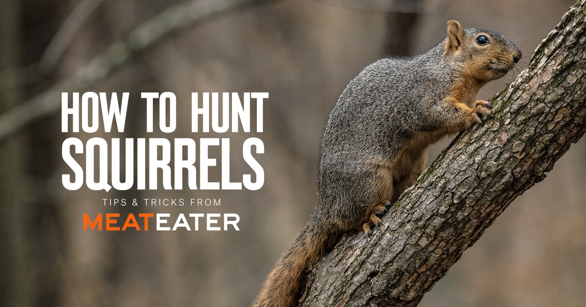 How to Hunt Squirrels onX Maps