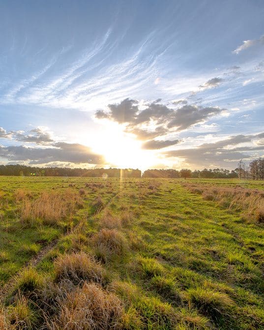 Landlocked Public Lands Land Access Reports and Updates onX