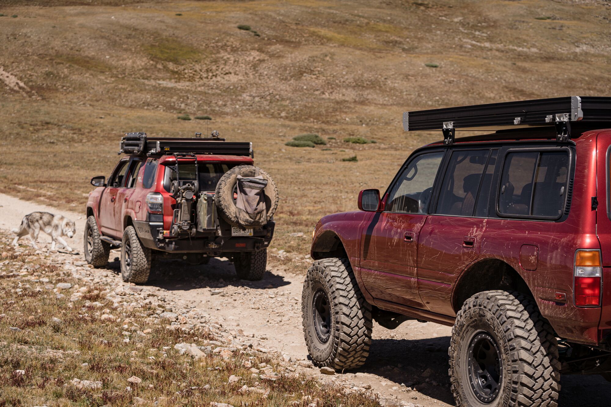 onX Offroad Joins Forces with 10 Industry Brands to Launch Elite