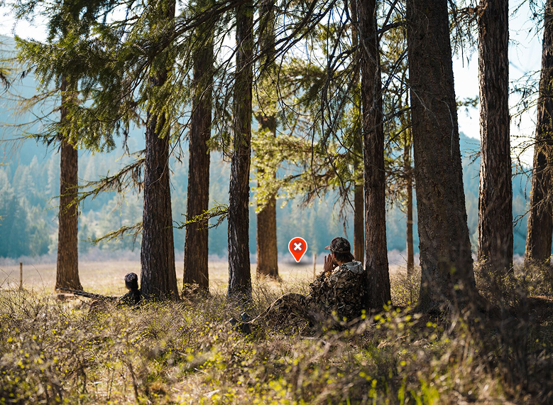 onX weather waypoint in a field with trees
