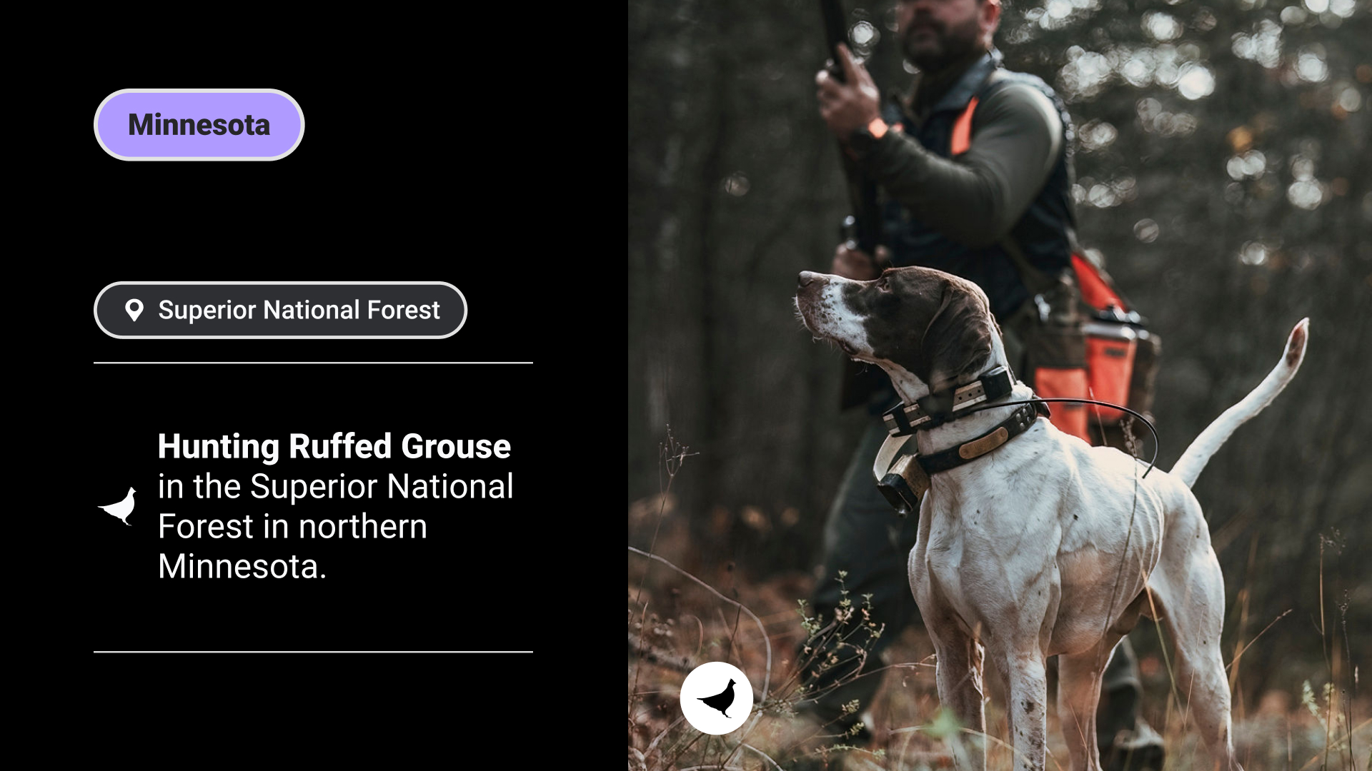 Feature slider item