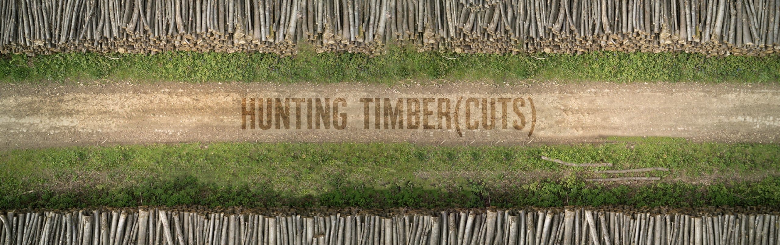 Hunting Timber Cuts