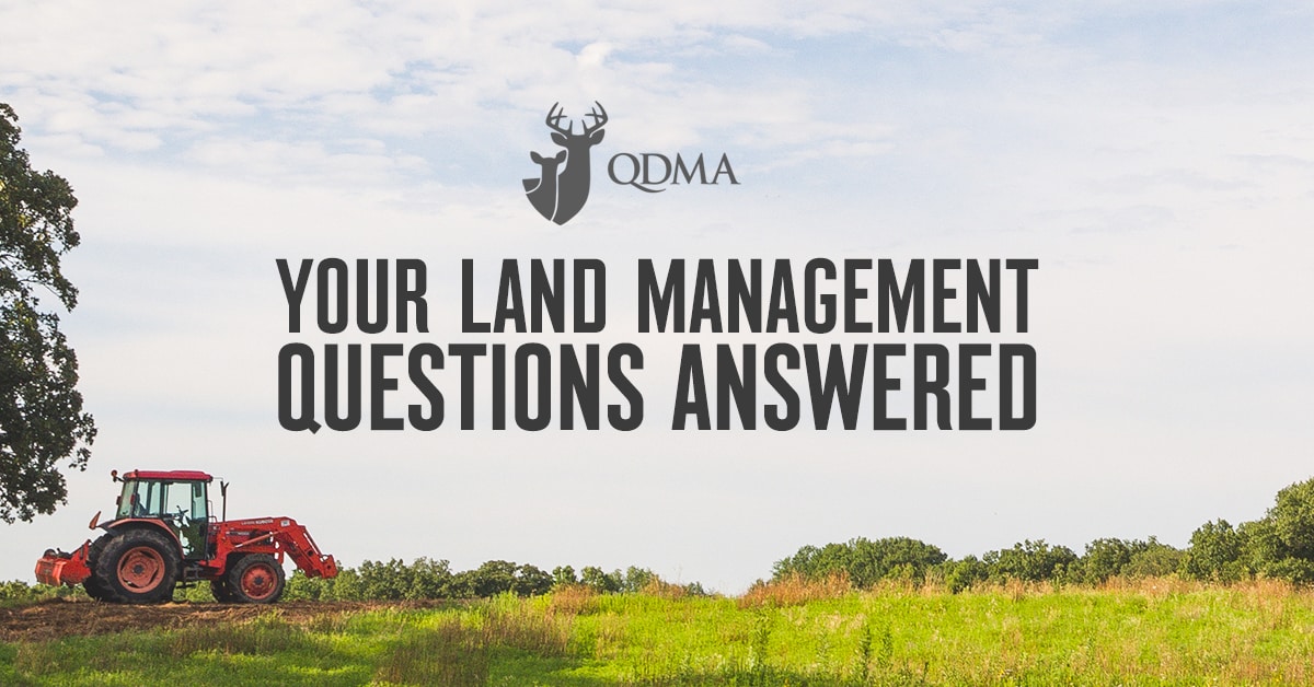 A Land Management Q &amp; A With the Quality Deer Management Association | onX