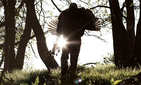 Person walking with turkey over their shoulder, backlit by the sun.