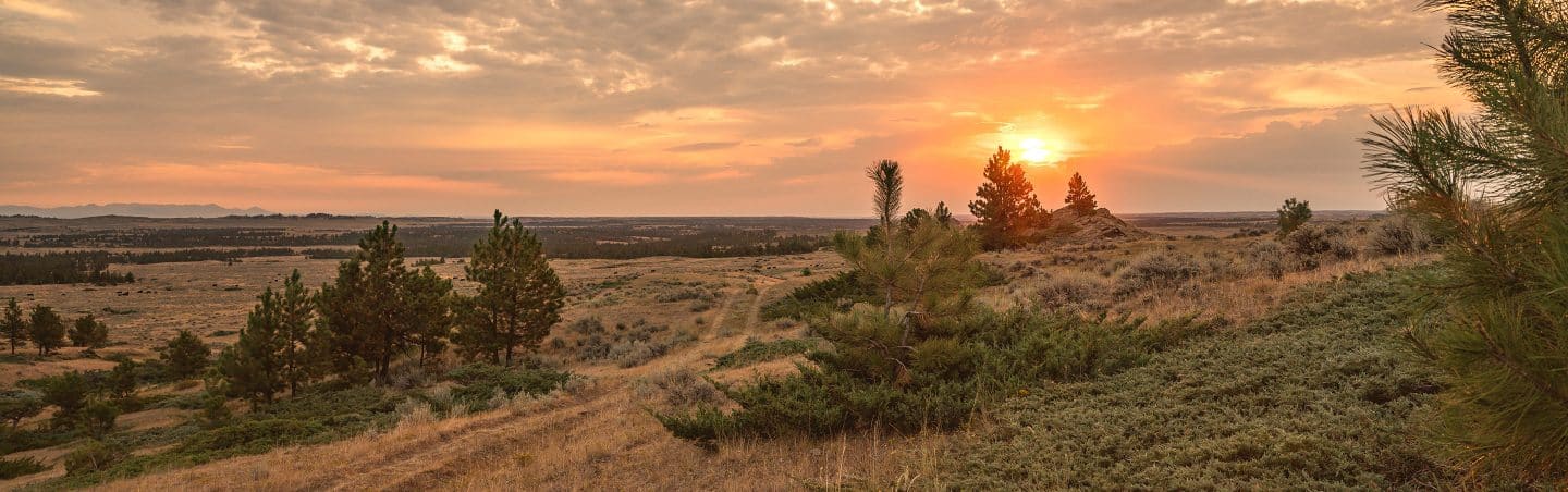 Hybrid Maps Resources onX Hunt - Onx Basemaps Blog Header Heartland Bowhunter 1440x452 