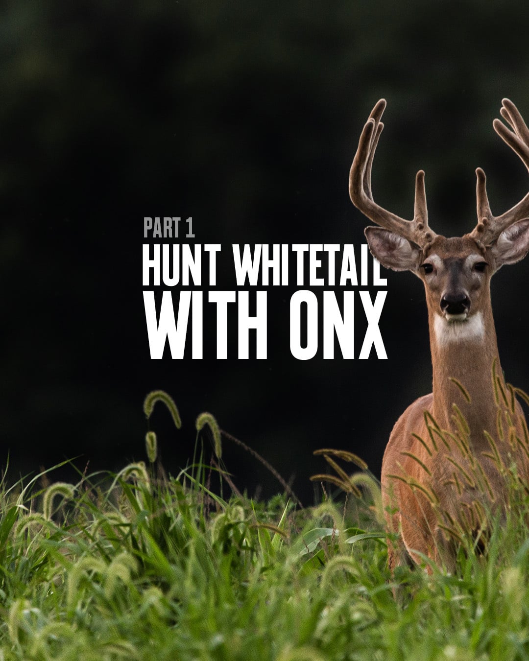 How To Hunt Whitetail Deer Using the onX Hunt App: Part 1 | onX