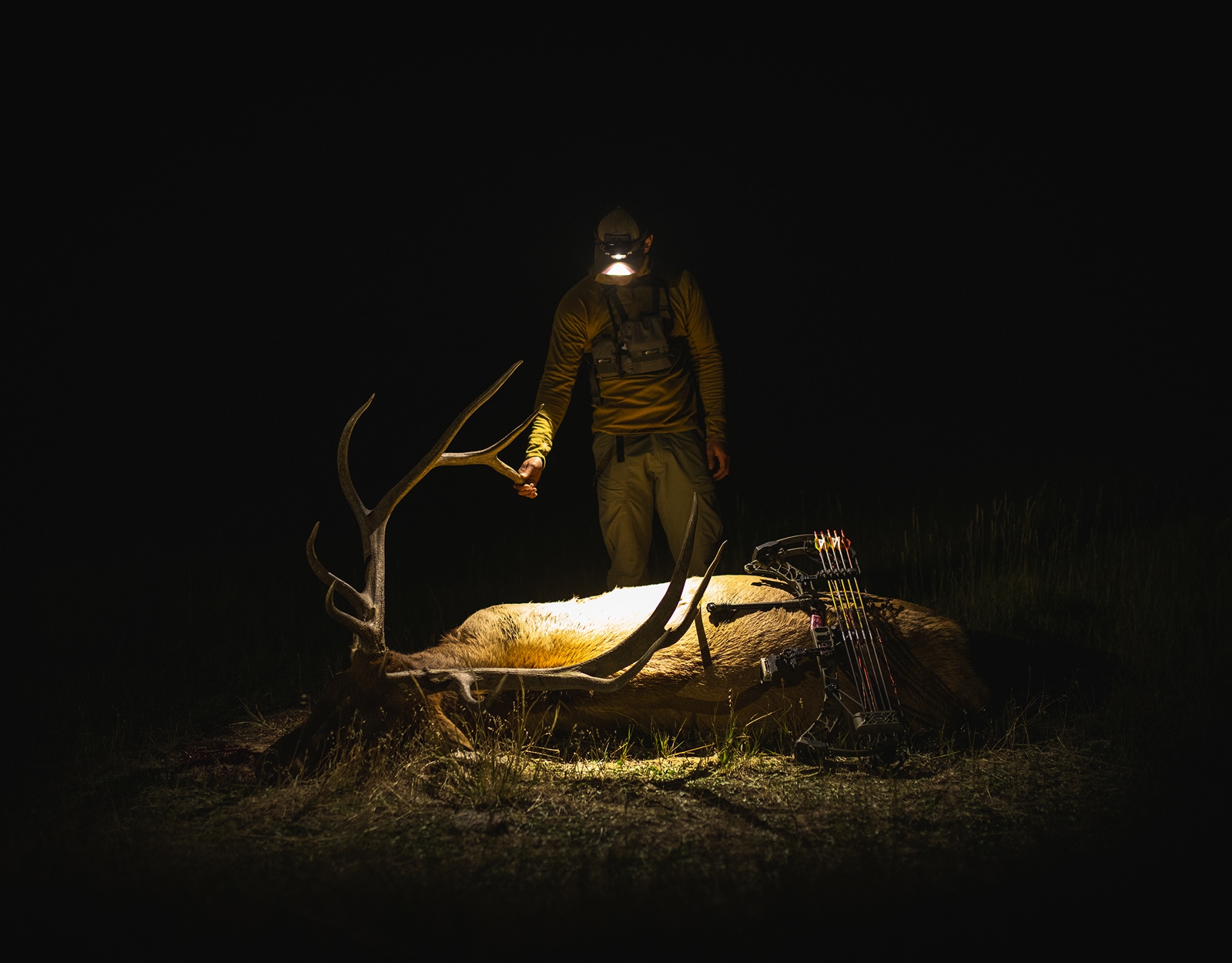 A hunter wearing a headlamp, standing over the bull elk they harvested
