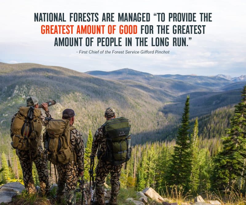 Can You Hunt in a National Forest? onX Hunt