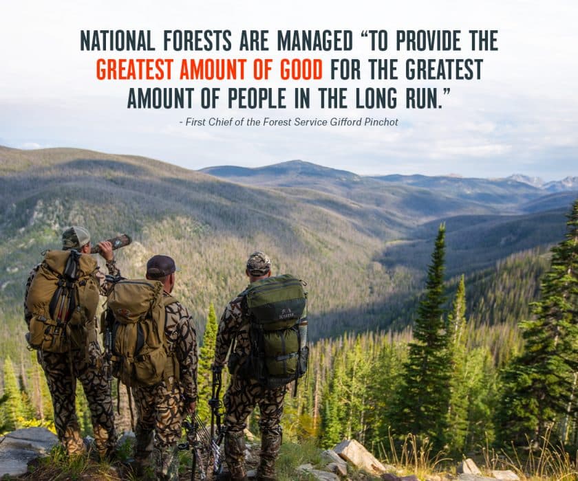 Can You Hunt in a National Forest? onX Hunt