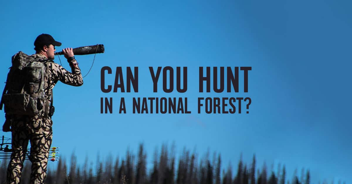 Can You Hunt in a National Forest? onX Hunt