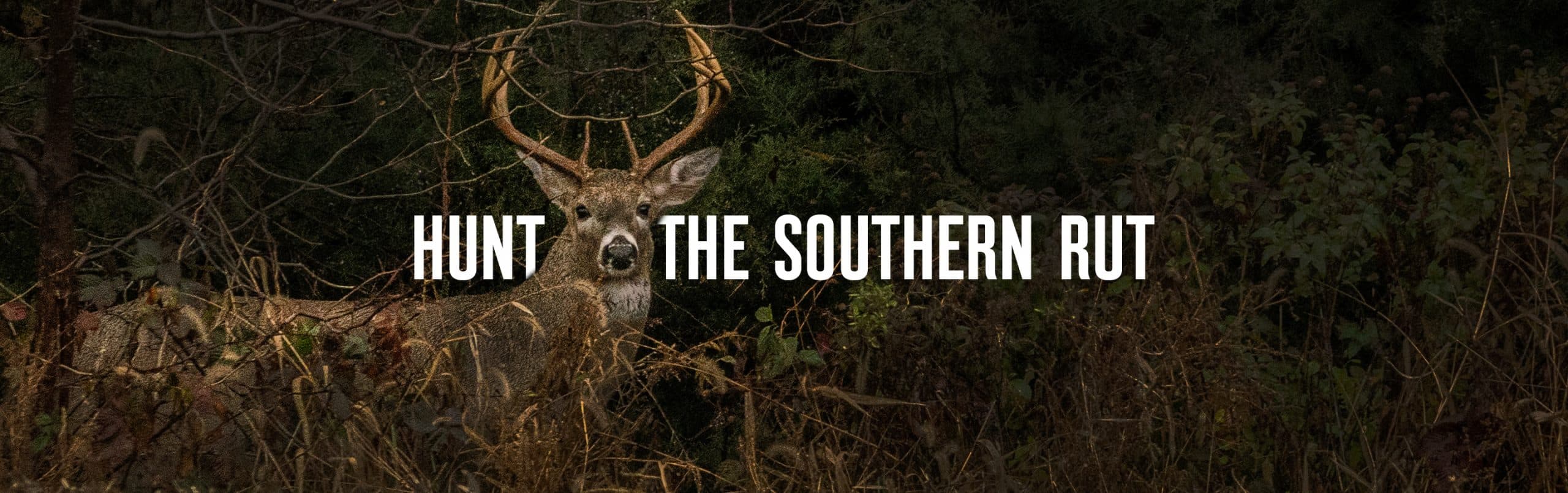 Hunt the Southern Rut onX