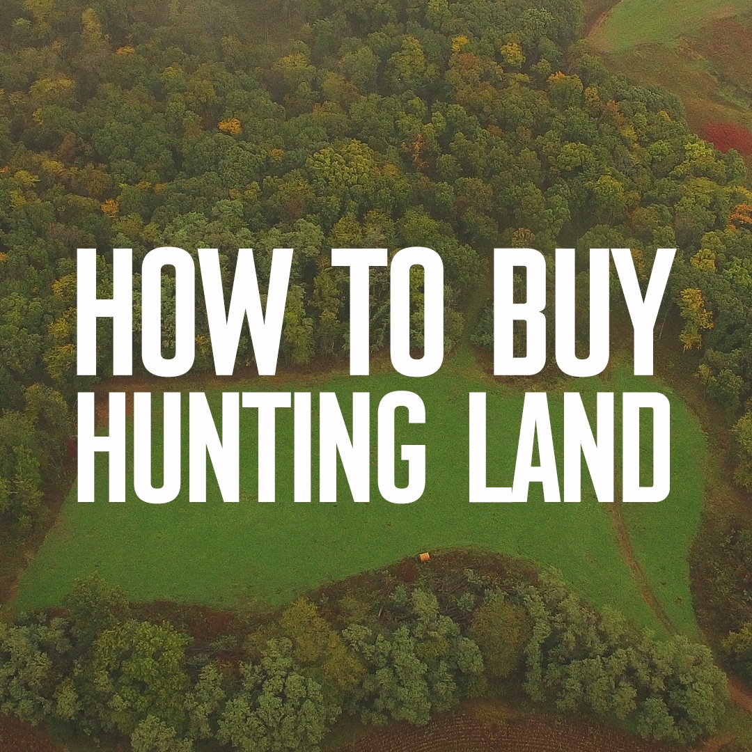 How to Buy Hunting Land - 2