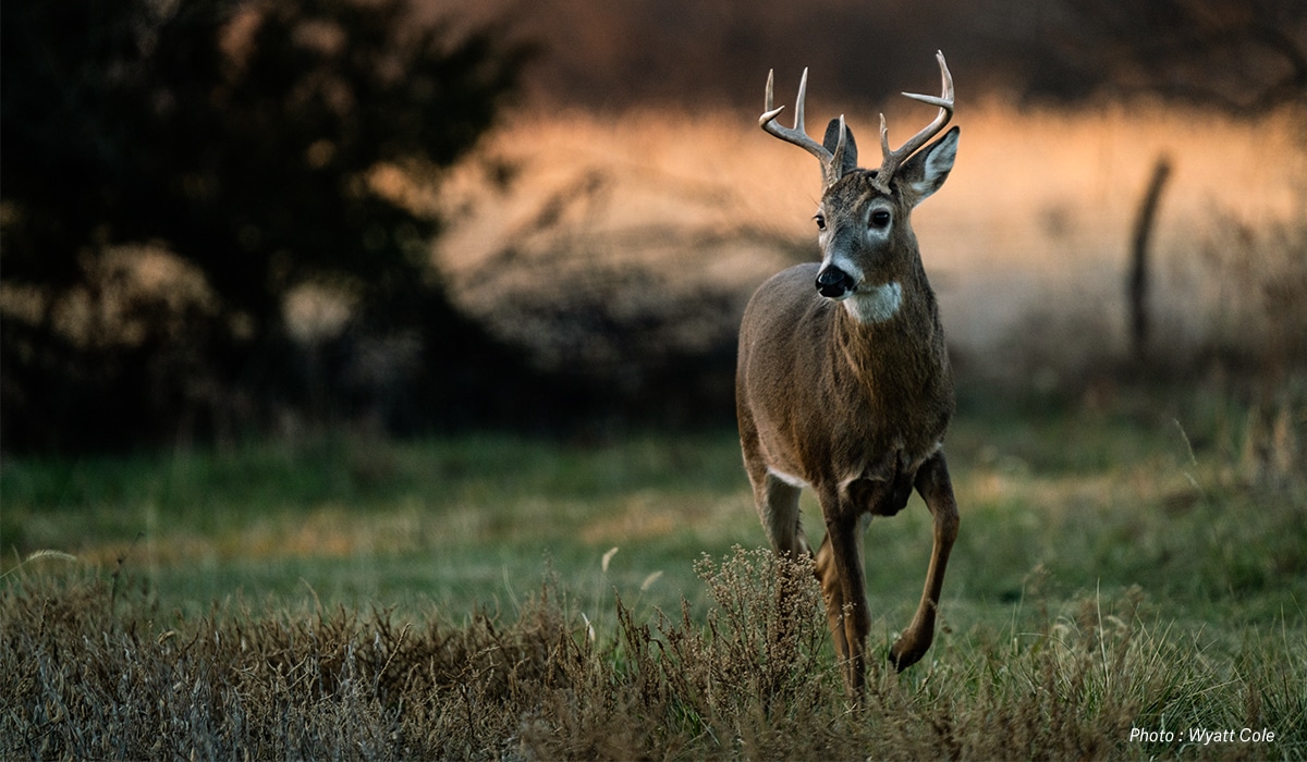 How Do Hunting Leases Work? onX Hunt