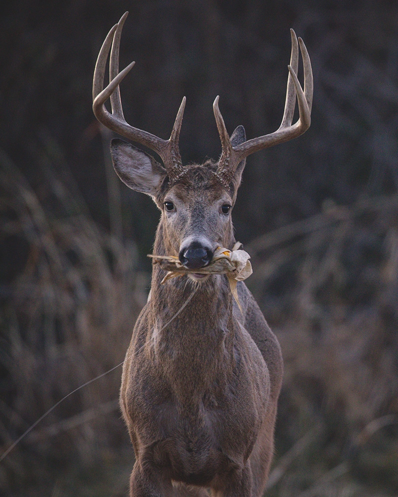 how crop data layers can help hunters