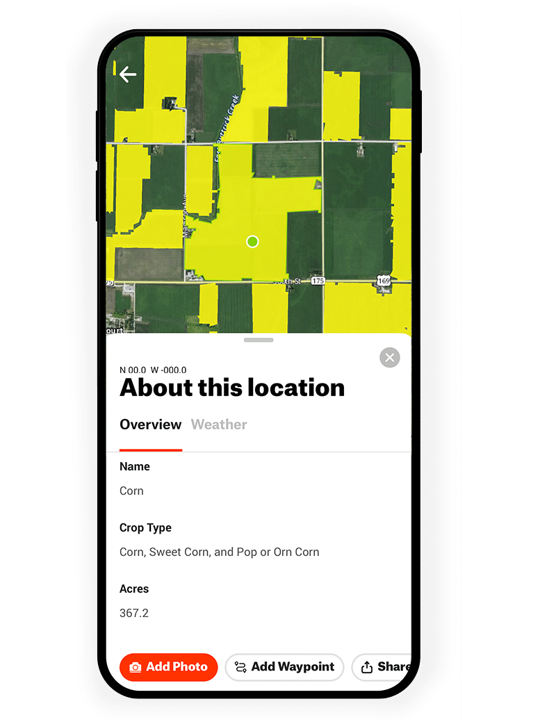 corn crop data layer